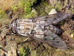 image029.jpg